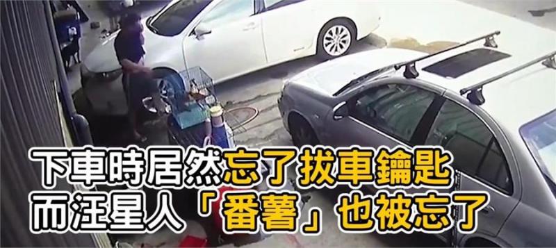主人粗心將狗狗遺忘車中三小時，主人秒破窗救狗，對不起原諒我，我真的很愛他！