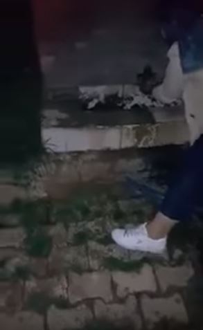 渴到快虛脫！女孩「直接用手捧水」喂浪浪　它開心喝完「居然伸手手感謝」：謝謝你幫我～