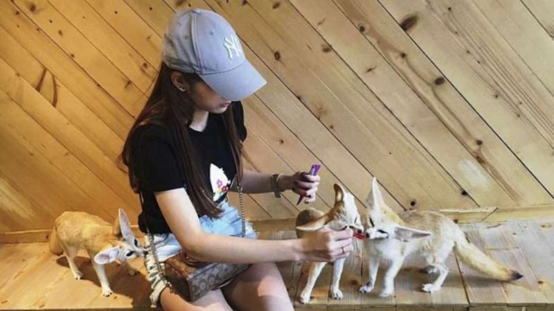 【到曼谷在這裡打卡拍照吃美食】 曼谷9家超有feel的餐廳和咖啡館！