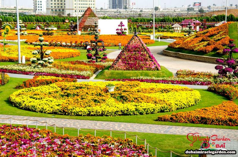 全球最大的自然花園 － 杜拜奇蹟花園（Dubai Miracle Garden）