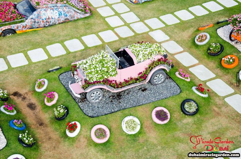 全球最大的自然花園 － 杜拜奇蹟花園（Dubai Miracle Garden）
