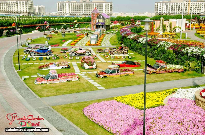 全球最大的自然花園 － 杜拜奇蹟花園（Dubai Miracle Garden）