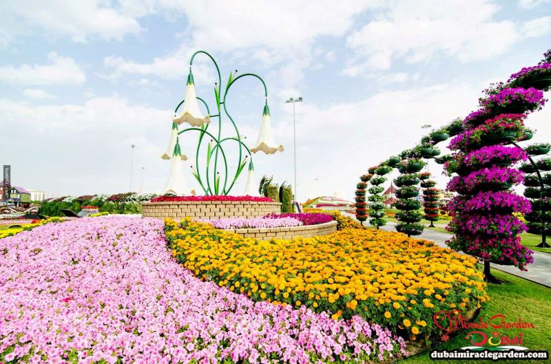 全球最大的自然花園 － 杜拜奇蹟花園（Dubai Miracle Garden）