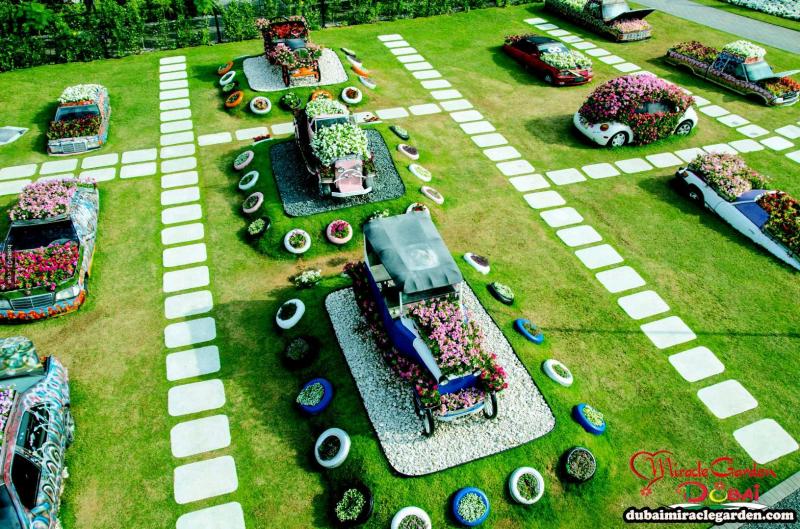全球最大的自然花園 － 杜拜奇蹟花園（Dubai Miracle Garden）