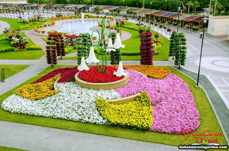 全球最大的自然花園 － 杜拜奇蹟花園（Dubai Miracle Garden）