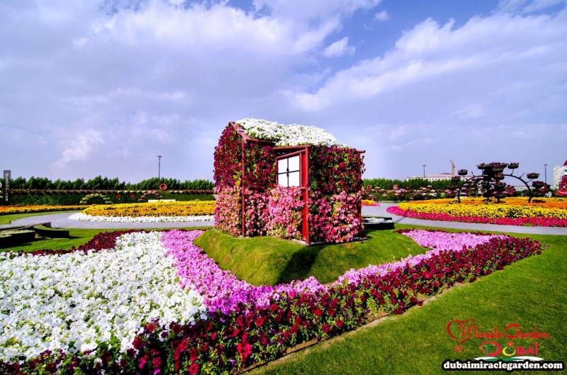 全球最大的自然花園 － 杜拜奇蹟花園（Dubai Miracle Garden）
