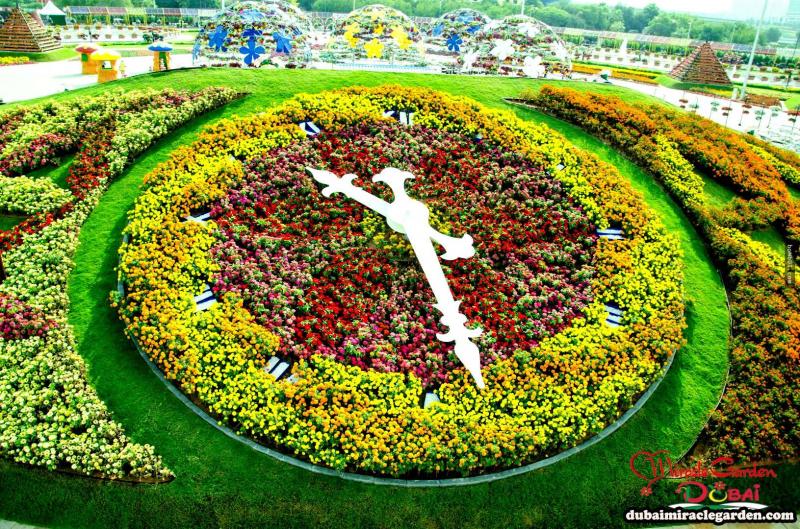 全球最大的自然花園 － 杜拜奇蹟花園（Dubai Miracle Garden）