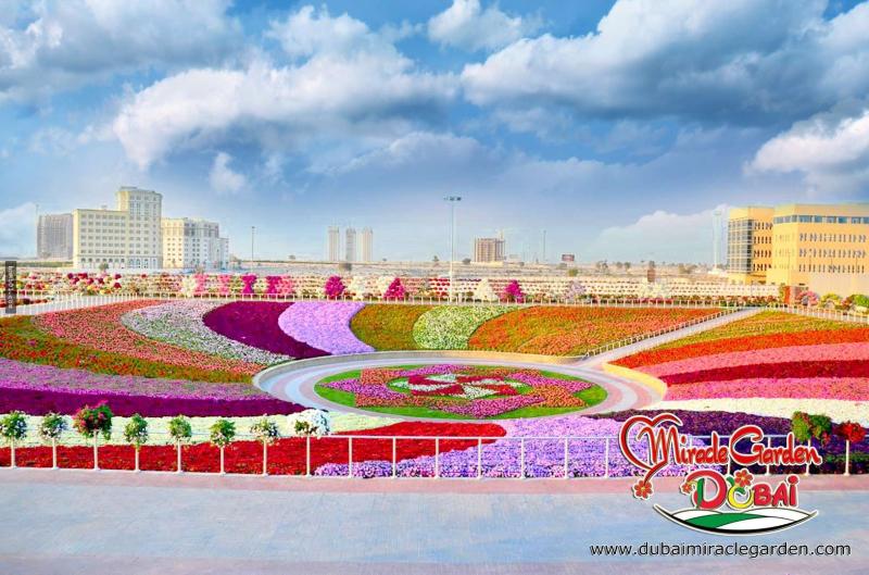 全球最大的自然花園 － 杜拜奇蹟花園（Dubai Miracle Garden）