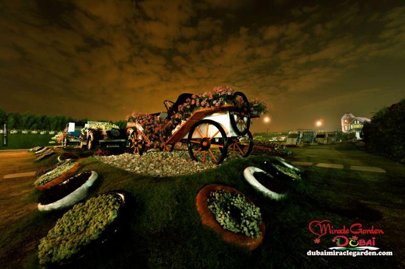 全球最大的自然花園 － 杜拜奇蹟花園（Dubai Miracle Garden）