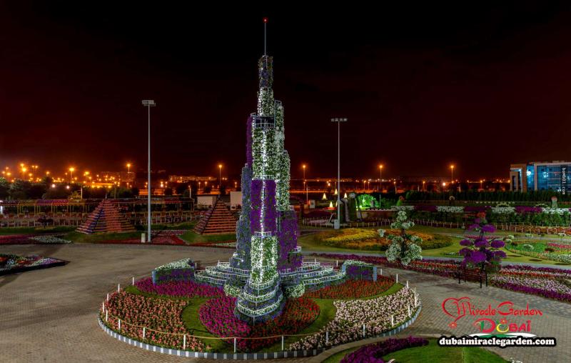 全球最大的自然花園 － 杜拜奇蹟花園（Dubai Miracle Garden）