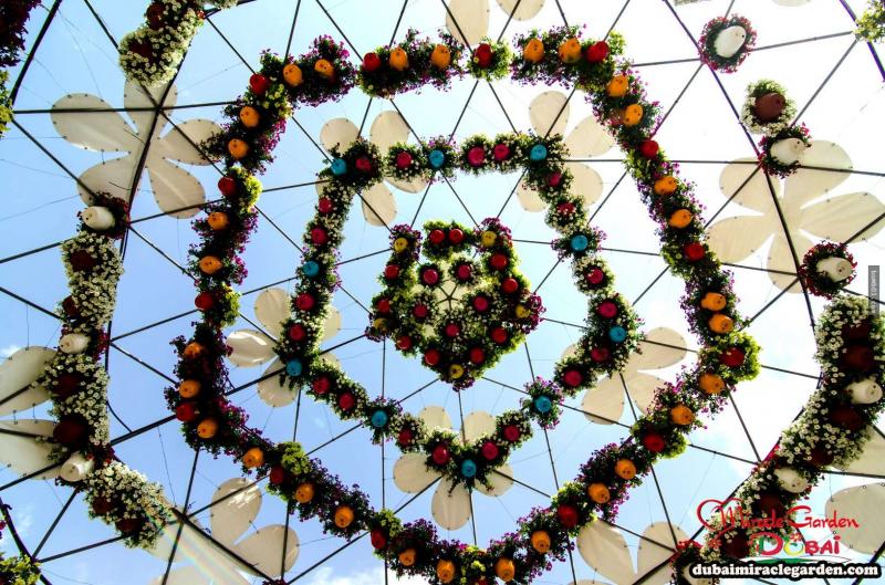 全球最大的自然花園 － 杜拜奇蹟花園（Dubai Miracle Garden）