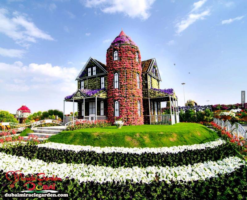 全球最大的自然花園 － 杜拜奇蹟花園（Dubai Miracle Garden）
