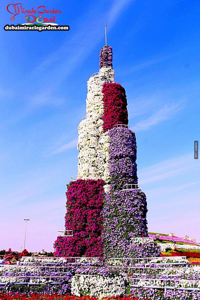 全球最大的自然花園 － 杜拜奇蹟花園（Dubai Miracle Garden）