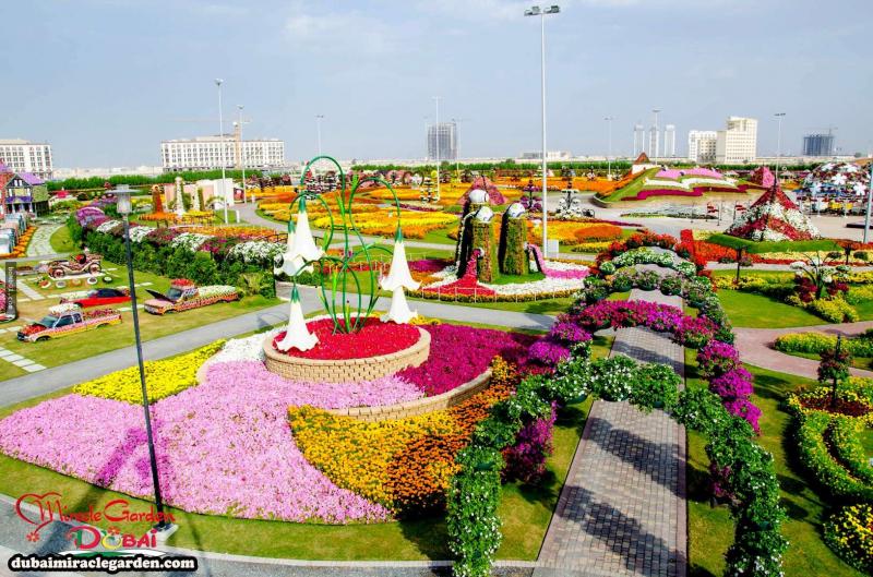 全球最大的自然花園 － 杜拜奇蹟花園（Dubai Miracle Garden）