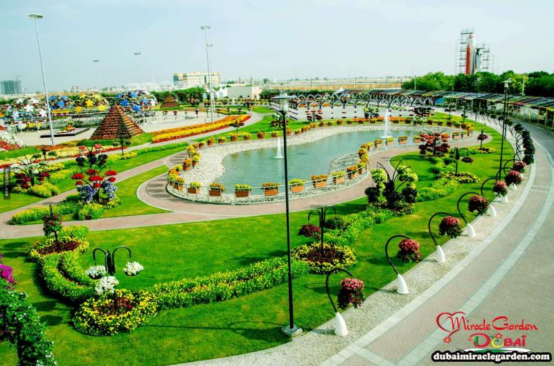 全球最大的自然花園 － 杜拜奇蹟花園（Dubai Miracle Garden）