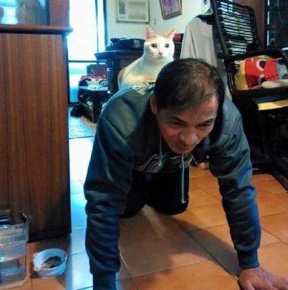 敢帶貓回家就斷絕關係！半個月後「老爸自願當馬騎」：準備好囉出發～