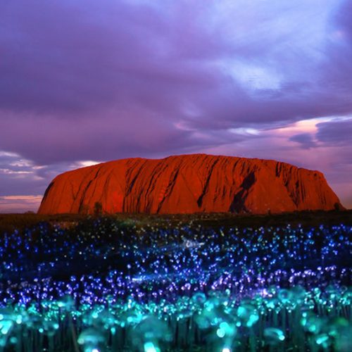 Australia秘境景點全攻略！去看發光的藍眼淚+幽靈蘑菇❤拒絕一般遊客の行程~