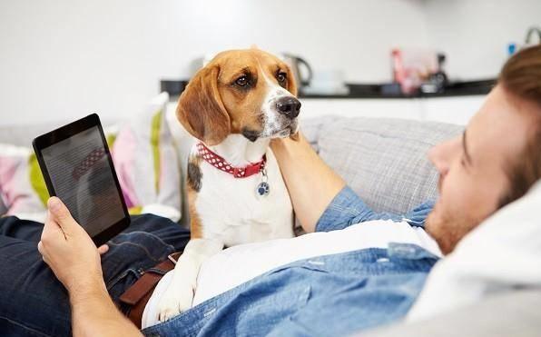 讀懂了狗狗的這10個小動作，就能讓你和愛犬的親密度成倍增長