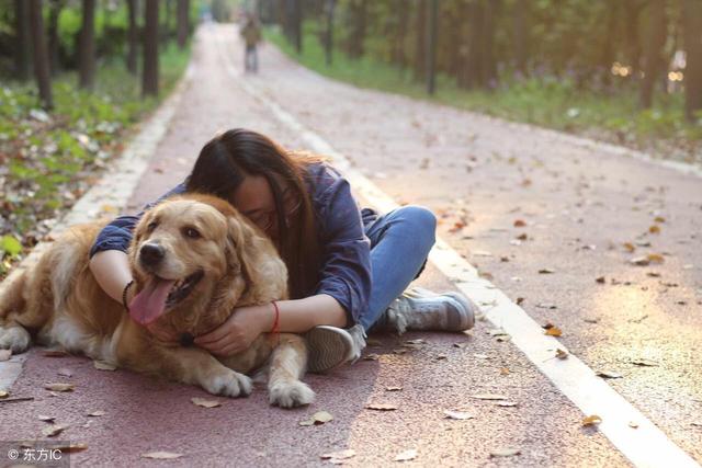史上最「最友好的」5隻狗狗，統稱「無攻擊性犬種」