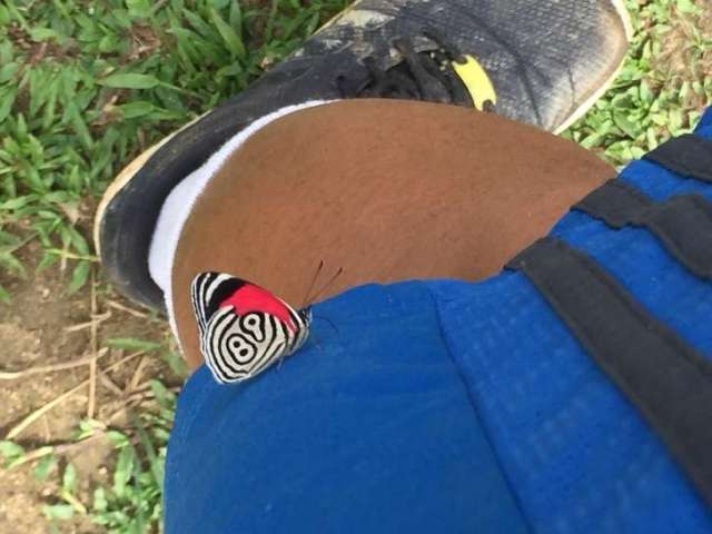 23個一生中才有可能拍攝到一張的照片～