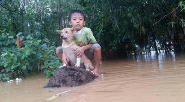 不要怕有我在！洪水暴漲逃不了「小男孩緊抱狗狗」...互相依靠超暖心：會有人來救我們~
