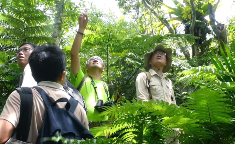 「他家住在深山！」清華教授以330萬在苗栗買下12000㎡山頭，為世界留下「珍貴寶藏」⋯ 