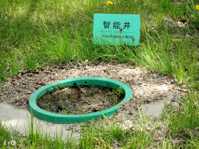 大旱年，挖井挖到一口甘甜清涼的井水，道士卻大呼不能喝 