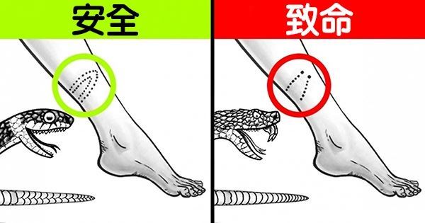 長知識…11個「在危急時刻能夠讓你活下去」的自救知識！