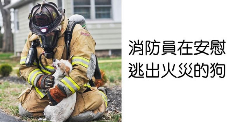 18張讓你想「重新擁抱這世界」的正能量照片 