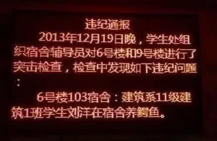 大學裡面搜出的「奇葩」違禁品！你藏過幾個？
