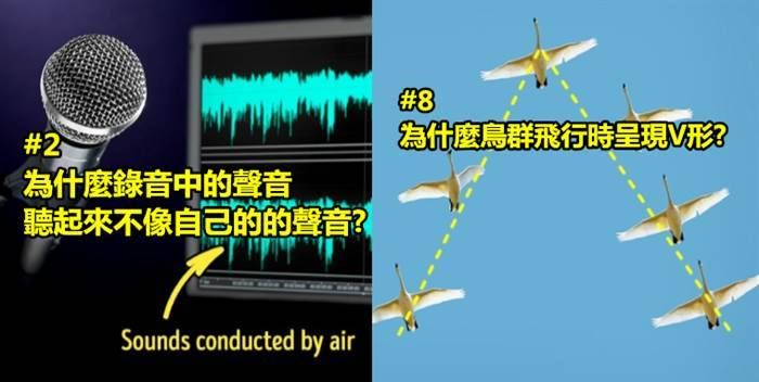 盤點19個「很多人都超好奇 但都懶惰谷歌」的超有趣問題！ 
