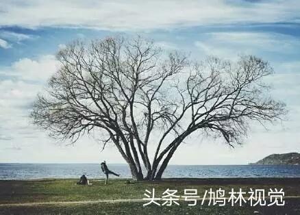 不努力，別人想拉你一把，都不知道你的手在哪裡