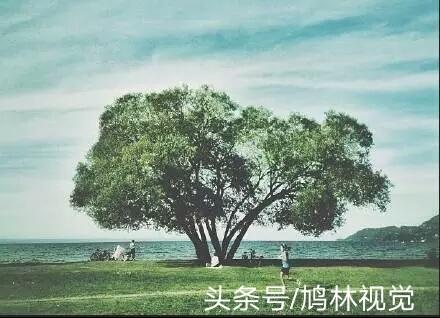 不努力，別人想拉你一把，都不知道你的手在哪裡