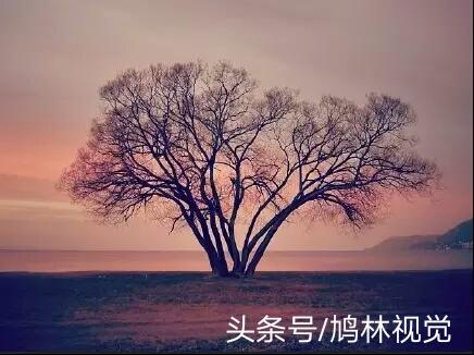 不努力，別人想拉你一把，都不知道你的手在哪裡