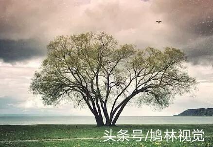 不努力，別人想拉你一把，都不知道你的手在哪裡