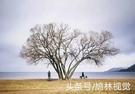 不努力，別人想拉你一把，都不知道你的手在哪裡