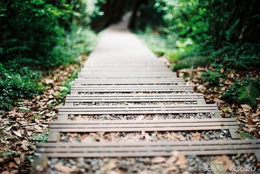 走好自己的路，讓別人說去