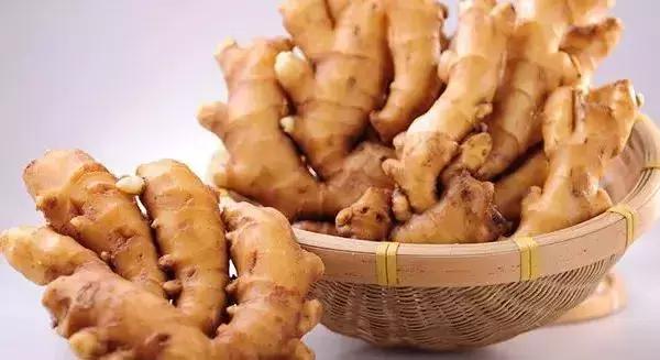 生薑燉雞 活血脈、強筋骨