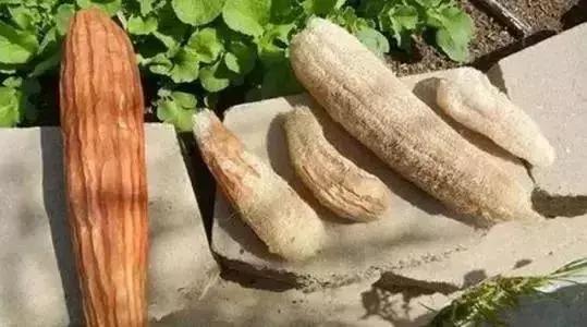 雙腳這樣拍一拍，調理五臟、防病健身，比泡10次腳還管用！