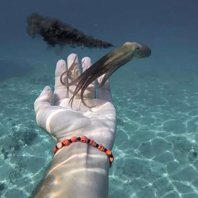 活久見！你肯定聽過但未必見過的16件事