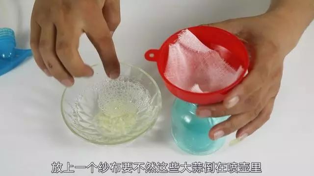家裡蟑螂太多試試這個土方法，2瓣大蒜把家裡蟑螂一鍋端