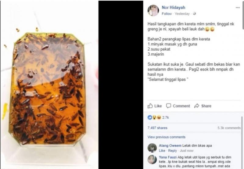 車裡出現蟑螂？網友教你一招「完美解決」！收藏起來以後一定有用到！