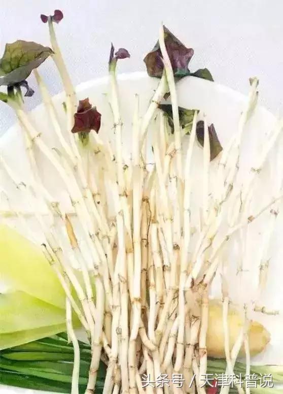 你不愛吃但是讓你更健康的菜，你知道幾種？