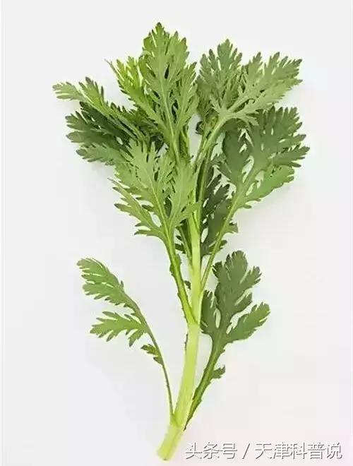 你不愛吃但是讓你更健康的菜，你知道幾種？