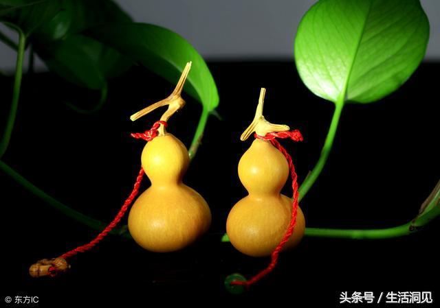 乾淨的人生，福報不請自來