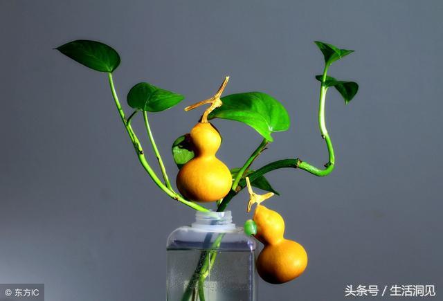 乾淨的人生，福報不請自來