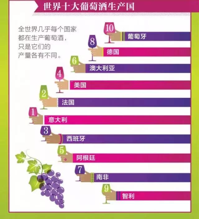 酒店餐飲人必備的葡萄酒知識大全