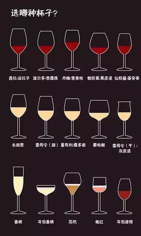 酒店餐飲人必備的葡萄酒知識大全