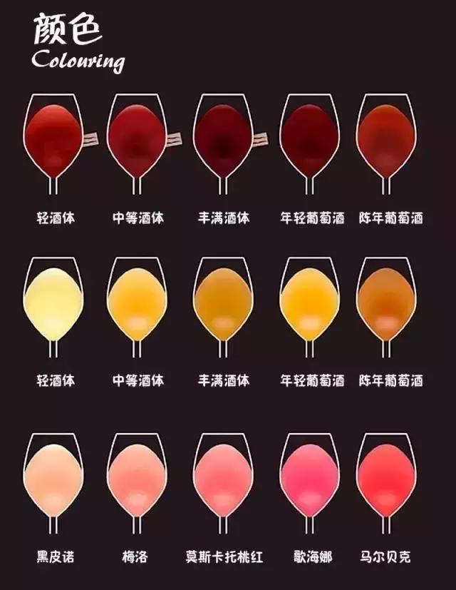 酒店餐飲人必備的葡萄酒知識大全