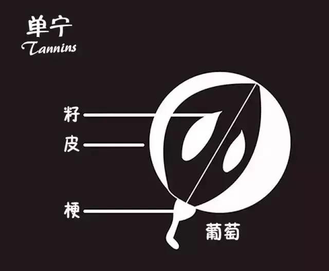 酒店餐飲人必備的葡萄酒知識大全